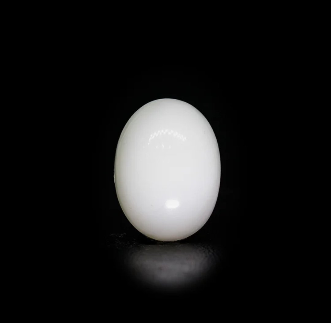 Japanese White Coral – 7.72Ct
