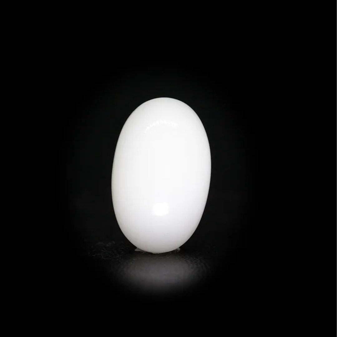 Japanese White Coral – 8.79 Ct