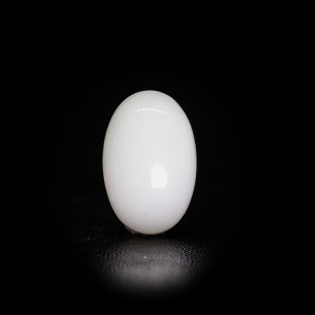 Japanese White Coral – 8.83Ct