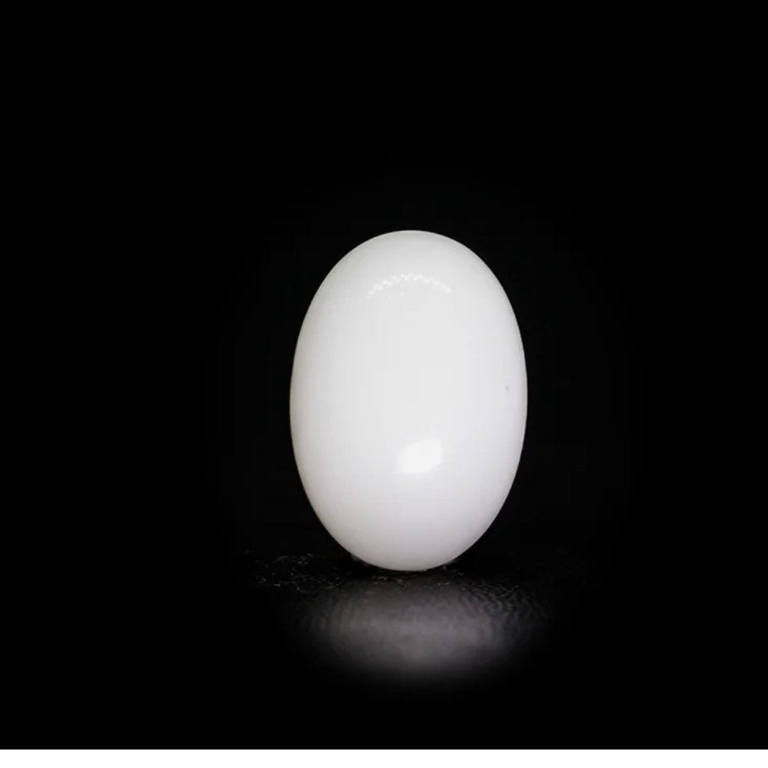 Japanese White Coral – 9.06 Ct
