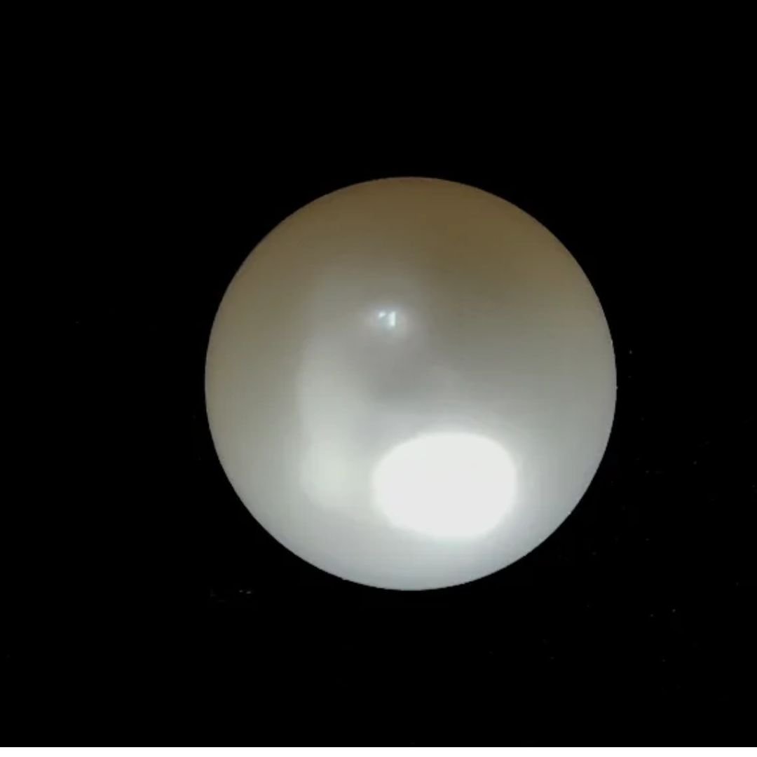 Natural South Sea Pearl – 5.60ct.