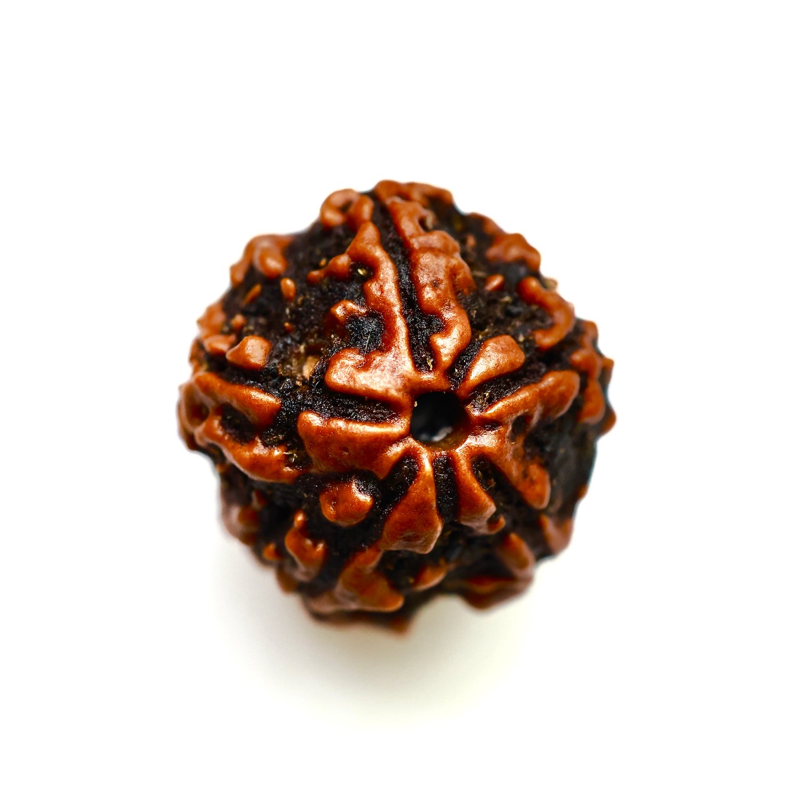Sacred 5 Mukhi Nepali Rudraksha – Original Natural Bead for Peace & Spiritual Ba