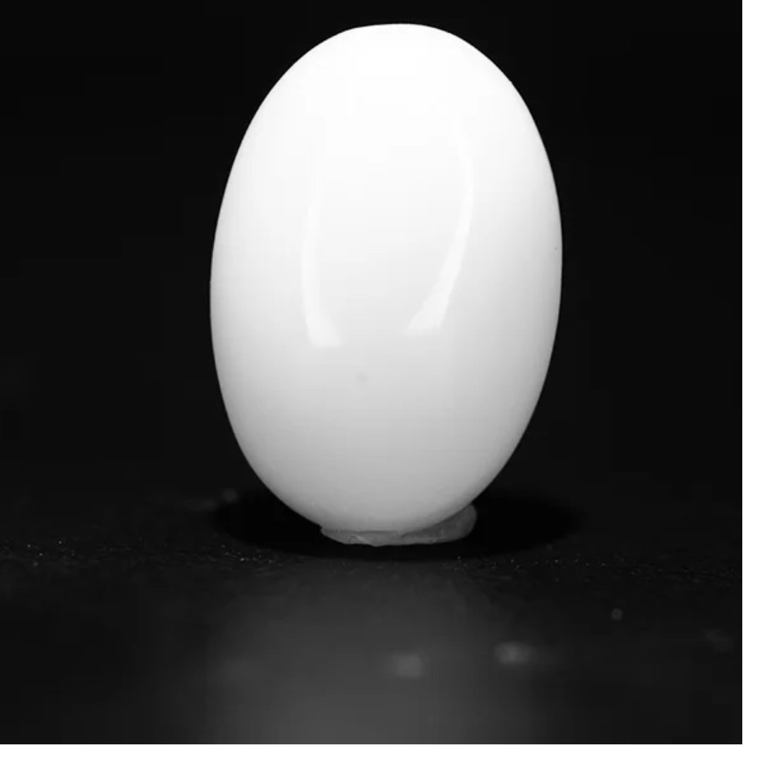 JAPANESE WHITE CORAL-8.24CT