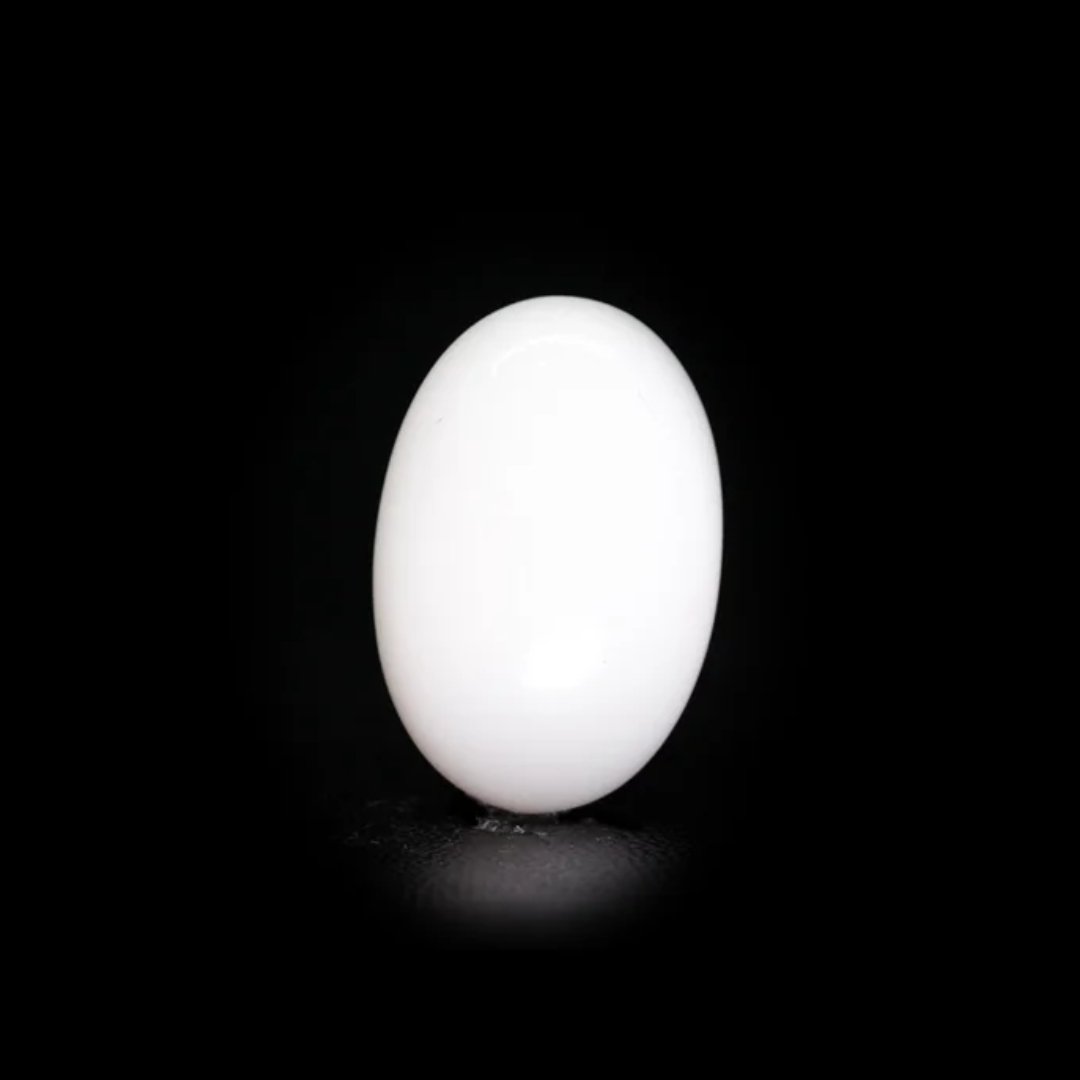 Japanese White Coral – 8.59Ct