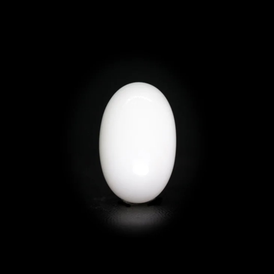 Japanese White Coral – 8.60Ct.