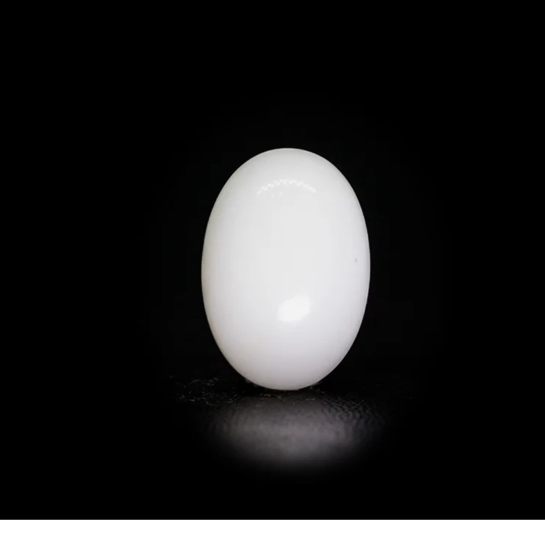 Japanese White Coral – 8.81Ct